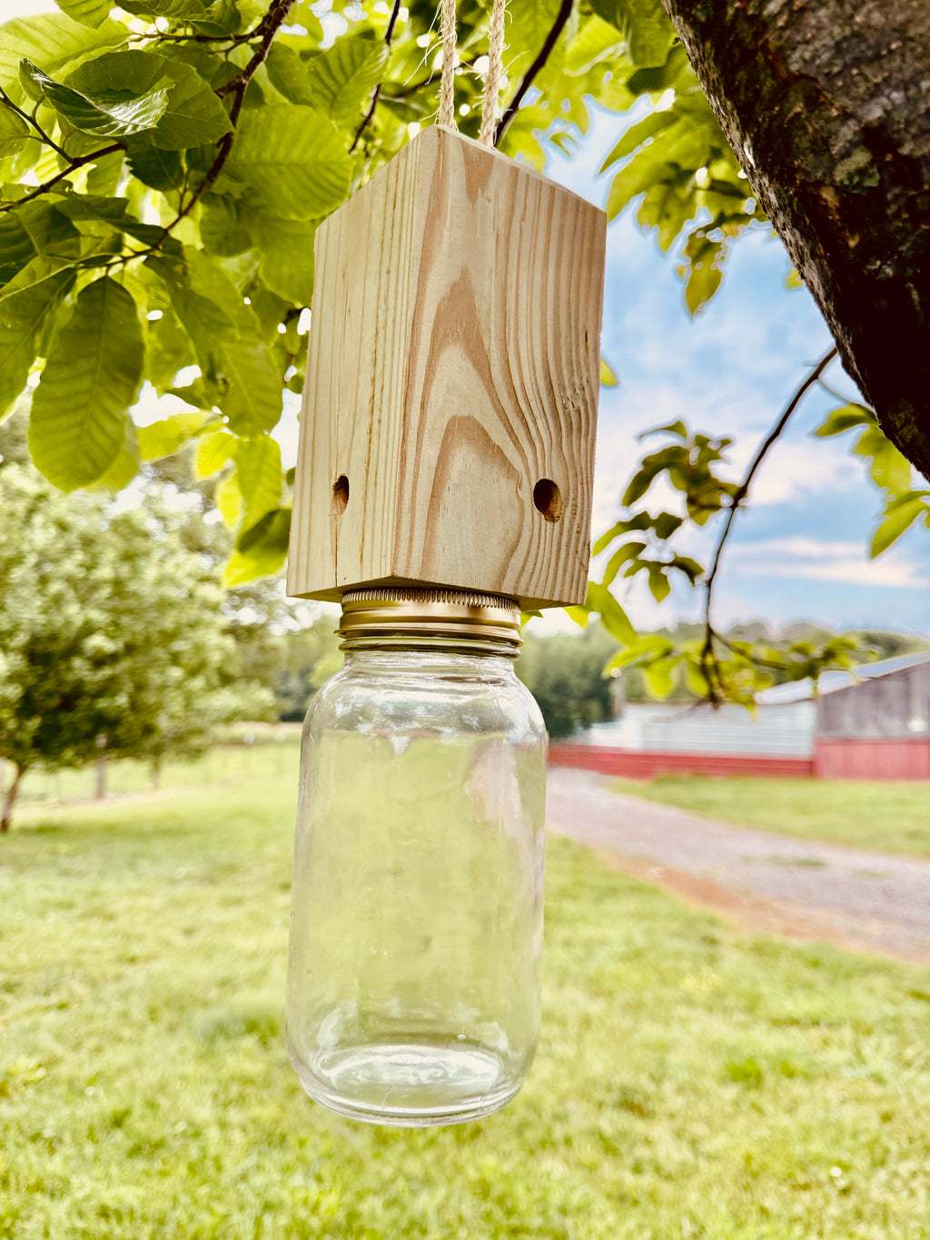 Carpenter Bee Traps