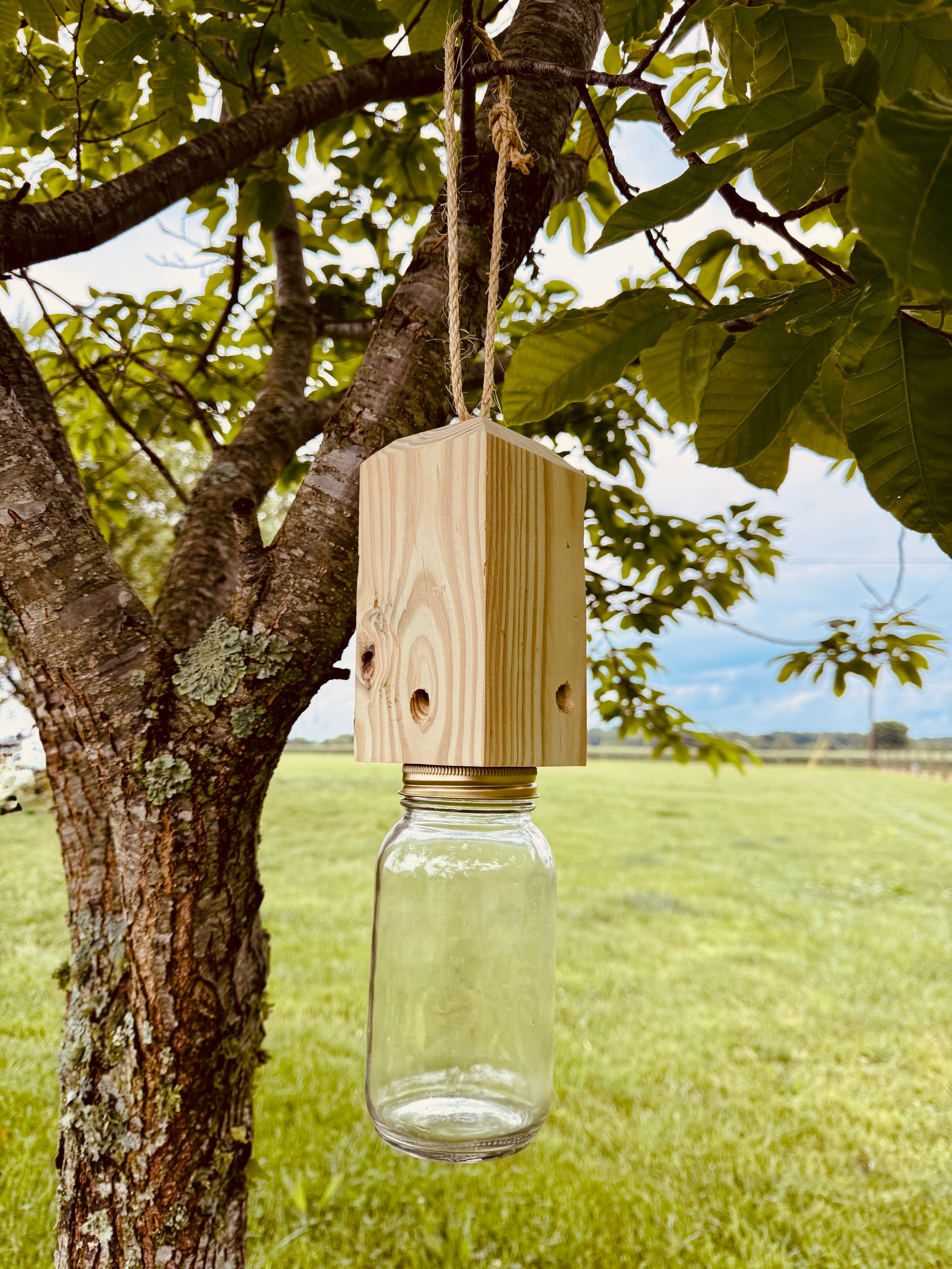 Carpenter Bee Traps